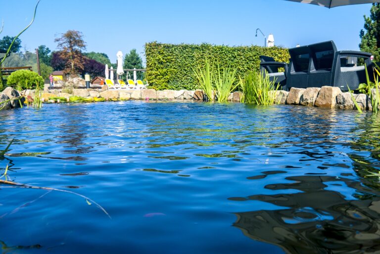 P1370833 copy 768x513